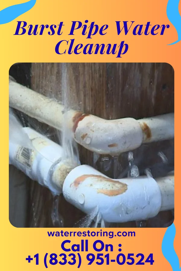 Burst Pipe Water Cleanup in Grand Rapids, OH