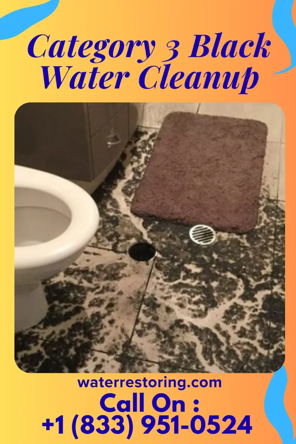 Category 3 Black Water Cleanup in Grand Rapids, OH