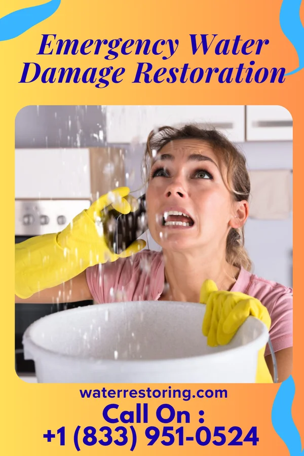 Emergency Water Damage Restoration in Grand Rapids, OH
