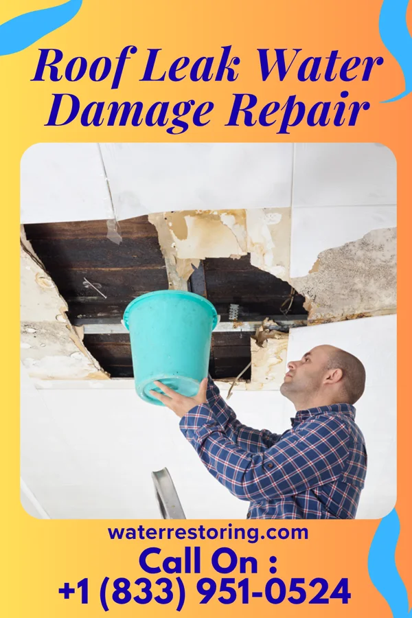 Roof Leak Water Damage Repair in Grand Rapids, OH